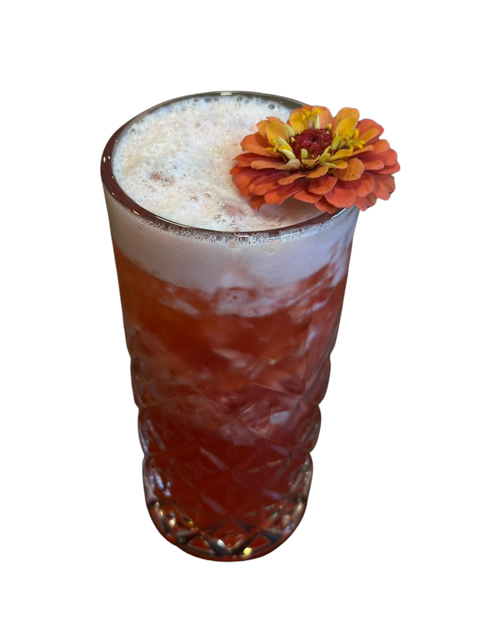 Drink G