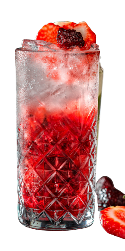 Design sem nome (14)